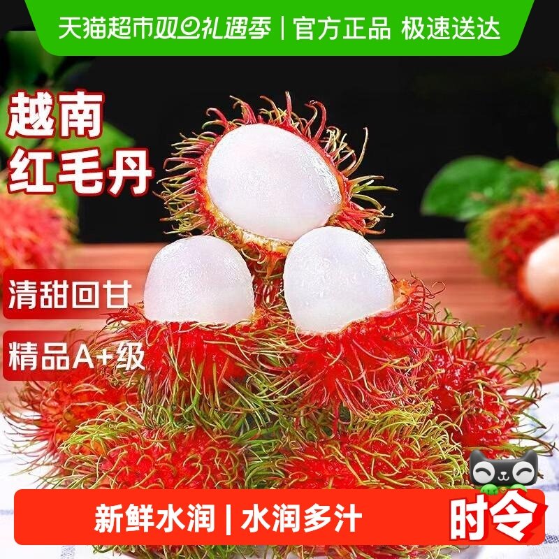 寻天果蔬越南红毛丹毛荔枝大果