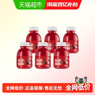 扬百利仙居杨梅汁饮品果蔬汁饮料果汁整箱冰饮孕妇饮品245ml*6瓶