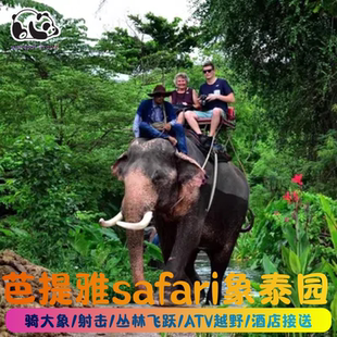 泰国芭提雅骑大象越野ATV全地形车实弹射击丛林飞跃芭堤雅接送
