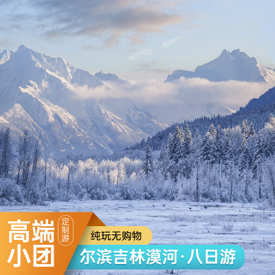 哈尔滨亚布力长春镜泊湖雪地温泉延吉长白山吉林漠河8日私人DZ