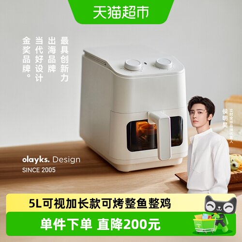 OLAYKS5L空气炸锅爆汁热循环