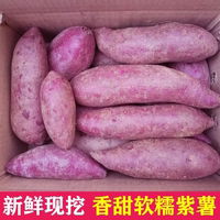 紫薯新鮮農(nóng)家自種沙地紅薯3/5/9斤紫羅蘭蜜薯糖心甜山芋番薯地瓜