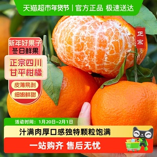 四川甘平柑橘皇后礼盒装新鲜应季时令水果鲜甜多汁鲜柑橘