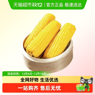 七稻町东北真空装糯玉米