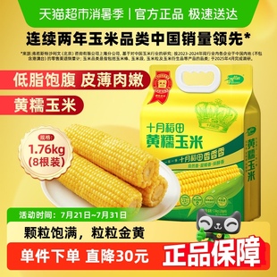 十月稻田黃糯玉米東北粘苞米雜糧粗糧低脂早餐 次日達
