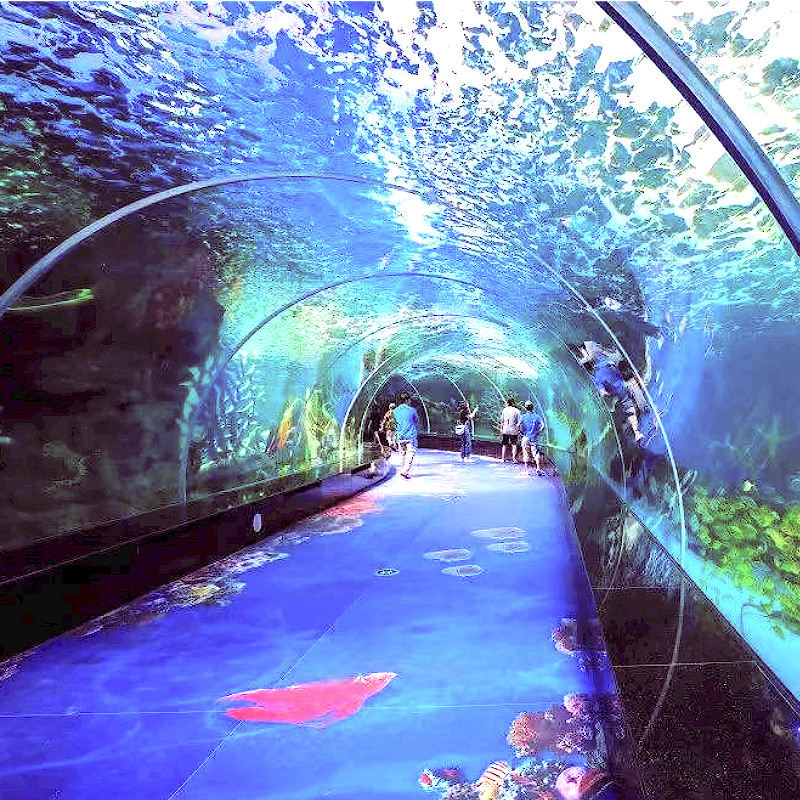 [泉州海洋公园-泉州海洋公园门票]泉州海洋公园门票]