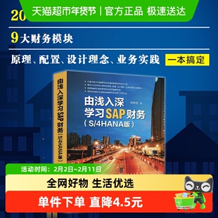 由浅入深学习SAP财务(S/4HANA版 SAP项目实施和管理的经验与心得