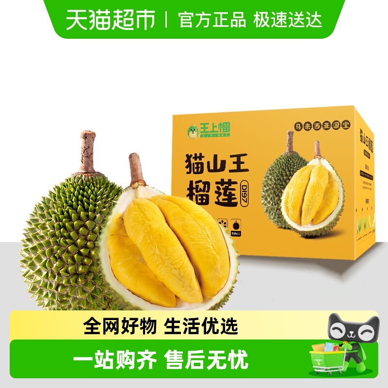 王上榴马来西亚猫山王榴莲树熟