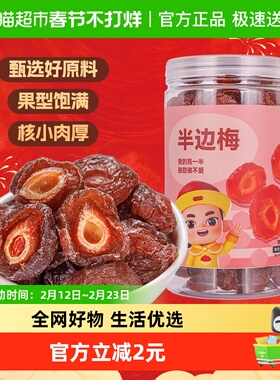 粒上皇半边梅梅子408g罐装蜜饯果干酸甜休闲零食干果类蜜饯酸零食