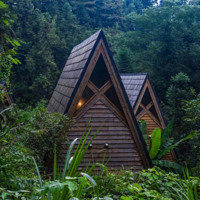 黄山度假森林树屋萌宠营地