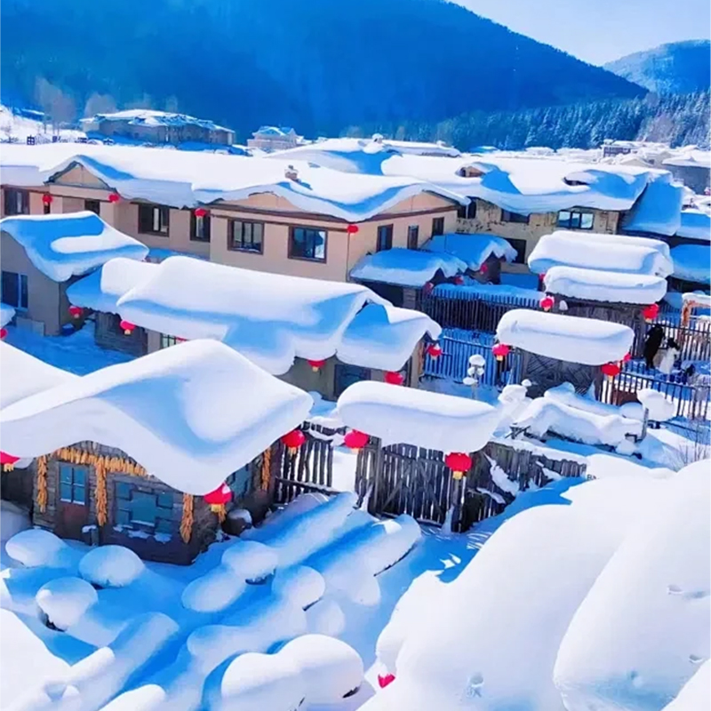 双11专属哈尔滨牡丹江旅游3天2晚2-8人小团雪乡|亚布力滑雪旅游