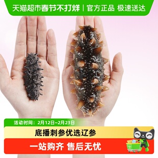 赵家淡干海参野生底播辽参刺参干货优选礼品盒装高档