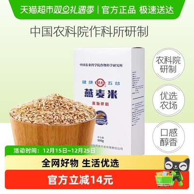 中国农科院世壮燕麦米