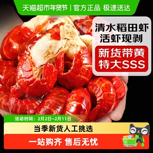 龙虾尾新鲜冷冻无冰特级大号虾球