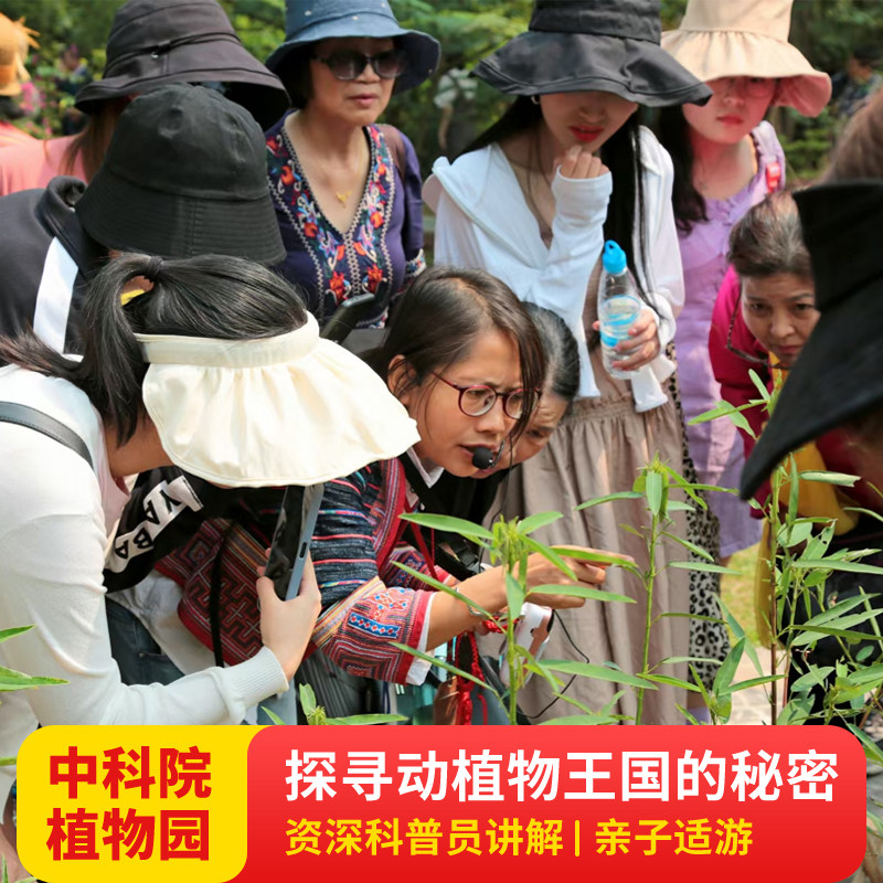 西双版纳中科院热带植物园一日游 资深金牌导游讲解 可选日夜游