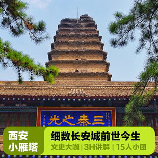 大咖说&bikego西安博物院小雁塔讲解3小时含门票15人小团跟团游