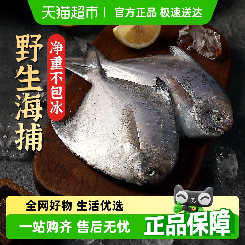 遇上鲜银鲳新鲜冷冻