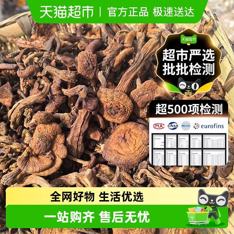 长白山特产级野生榛蘑东北小鸡炖蘑菇丁干货无根非新鲜