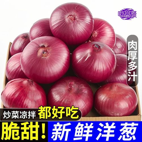 抢9斤紫皮洋葱生吃专用辣味蔬菜圆葱整箱包邮水果洋葱