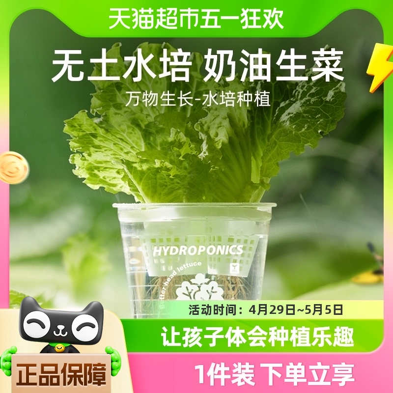 包邮mideer弥鹿水培阳光种植房儿童玩具科学小实验植物生长观察盒 玩具/童车/益智/积木/模型 科学实验 原图主图