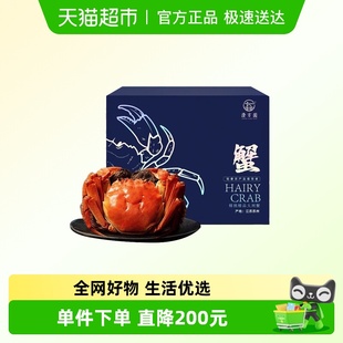 鲜活全母蟹去绳足重现货 10只装 澄方圆活蟹大闸蟹全母蟹1.9 2.1两
