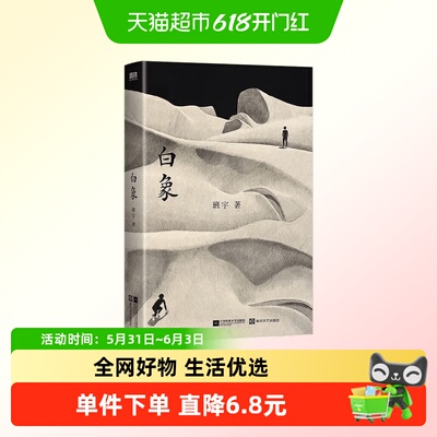 白象班宇著中国当代小说