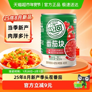 屯河新疆内蒙番茄块400g西红柿番茄酱罐头番茄膏番茄沙司