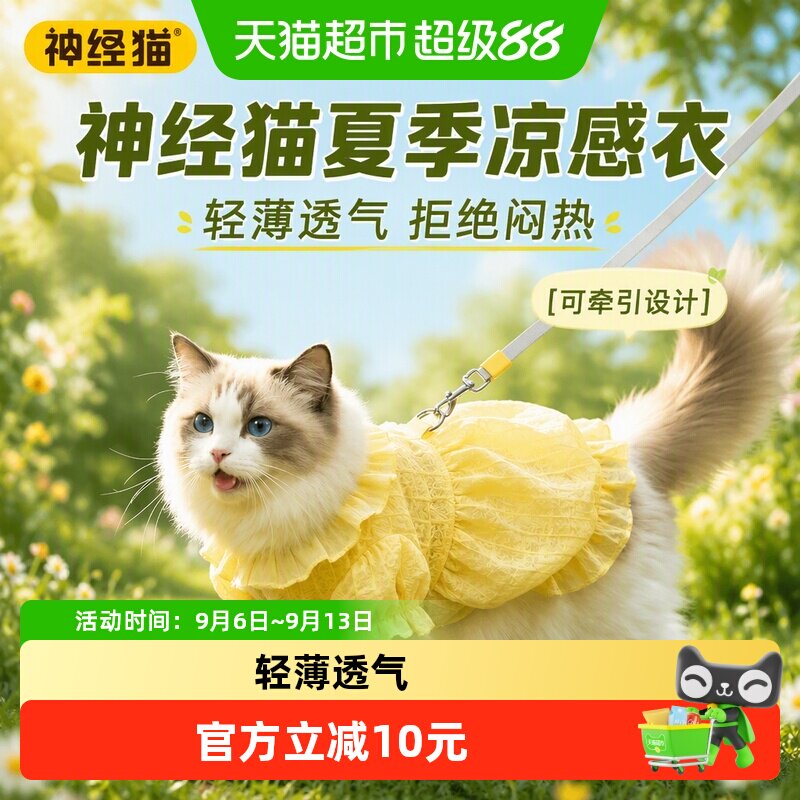 神经猫夏季猫咪防掉毛衣服薄款透气背心连衣裙小型犬可牵引德文猫