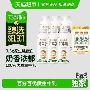 6鲜牛奶巴氏杀菌全脂营养纯牛奶 伊利天然牧场405ml 臻选