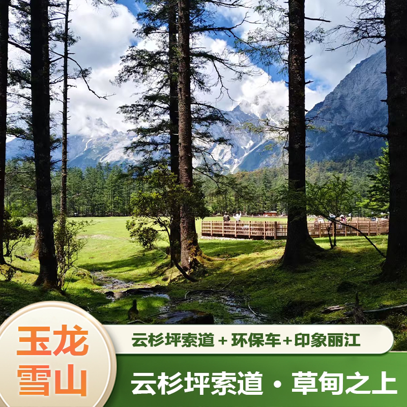 [玉龙雪山-云杉坪索道+环保车+印象丽江演出票]【小索道+印象普通席】图片