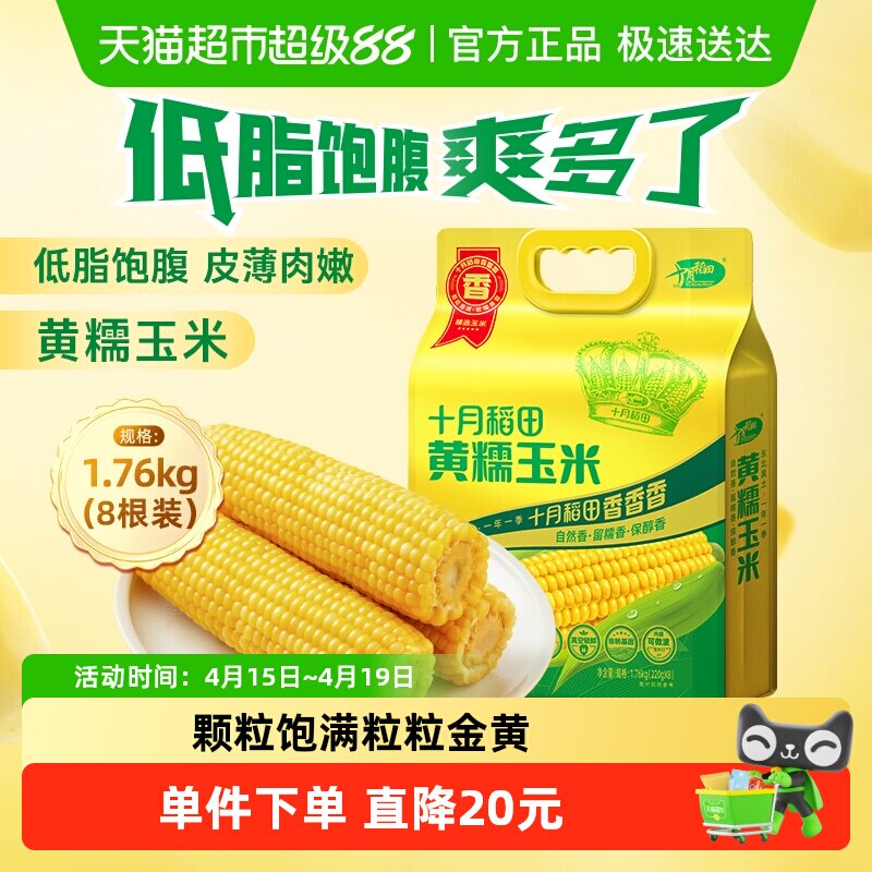十月稻田黃糯玉米東北粘苞米雜糧粗糧低脂早餐可微波
