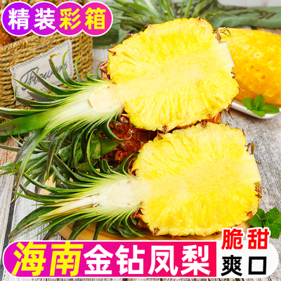 正宗海南特产金钻凤梨当季新鲜水果脆甜多汁香甜无眼凤梨大果