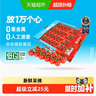 【一颗大】串收樱桃番茄甄选水果礼盒新鲜采摘酸甜多汁