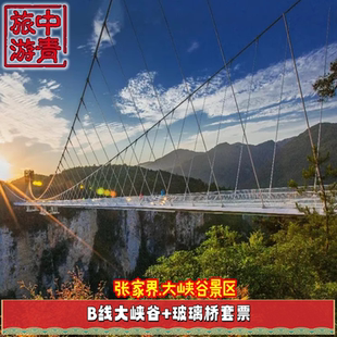[张家界大峡谷玻璃桥-大峡谷B线+玻璃桥]张家界旅游订票