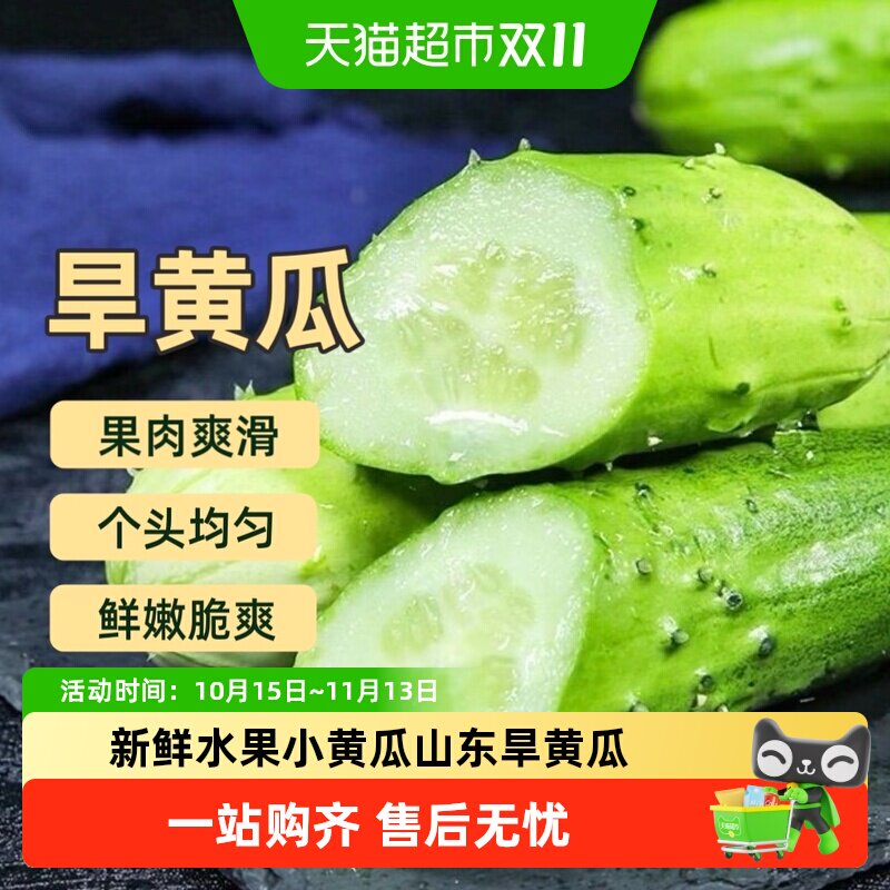 胡鲜森山东旱黄瓜新鲜当季现摘装脆嫩生吃蔬菜小黄瓜青瓜