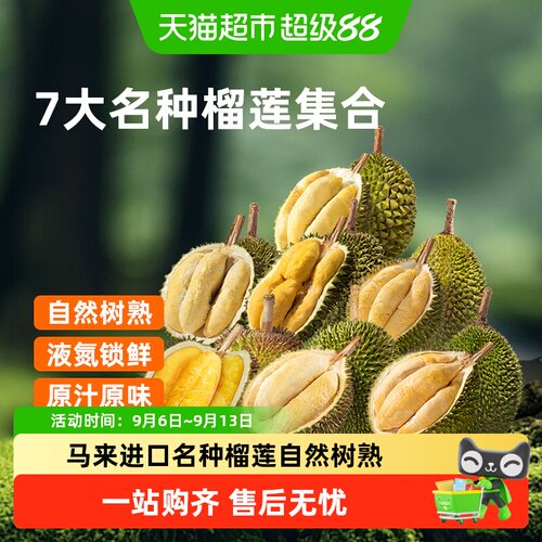 市舶士马来西亚液氮锁鲜苏丹王榴