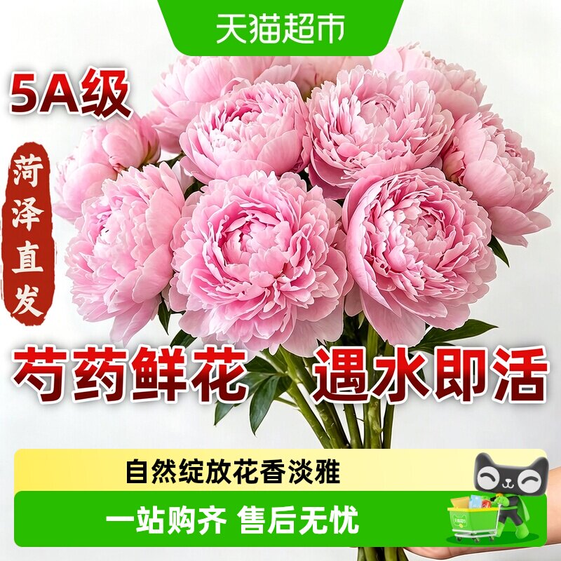 山东芍药鲜花牡丹重瓣花束鲜切花玫瑰菏泽基地直发母亲节 - 实物图