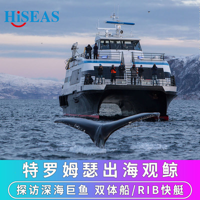 挪威特罗姆瑟出海观鲸