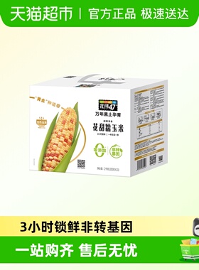北纬47花甜糯玉米200克*10穗东北苞米棒万年黑土绿色食品糯玉米