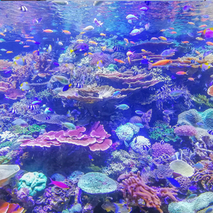 日本旅游名古屋接送机名古屋中部航空机场接机送机