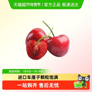 2025新产季智利海运车厘子J/JJ/JJJ/JJJJ新鲜水果