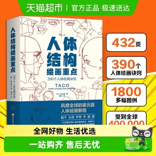 TACO人体 喜 动画人体结构 崔元 人体结构绘画重点人体绘画