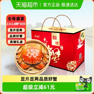2.8两10只精品河蟹礼 仲秋大闸蟹鲜活螃蟹特大全母2.5 活蟹