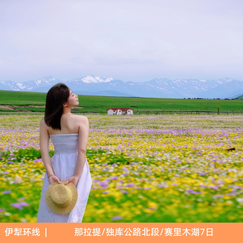 伊犁反向环线7天