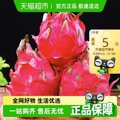 【顺丰包邮】金都一号红心火龙果新鲜当季红肉大果热带水果整箱