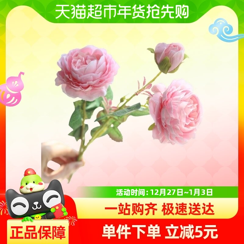 �ٻ����滨�����ϻ�С���ѻ�õ�����ɻ��ҾӰ���װ�μٻ�