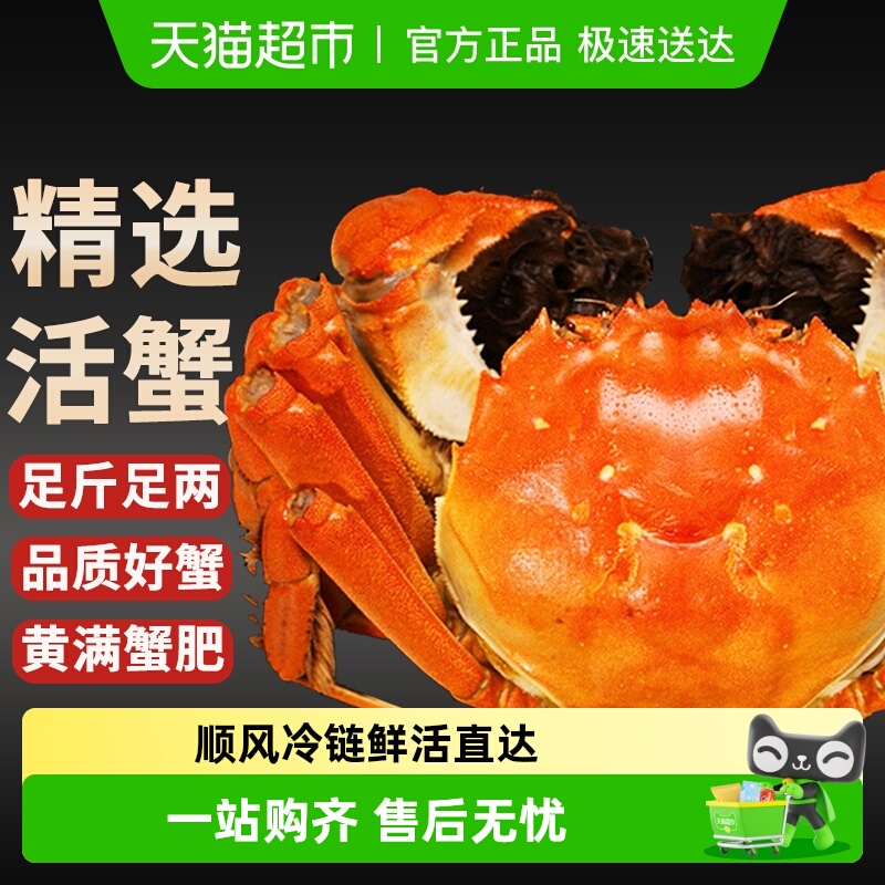 [з]شբзʻֻȫĸз콢кʺз