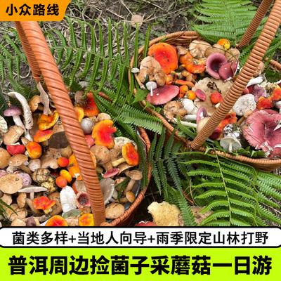 普洱梅子湖公园纯玩小团
