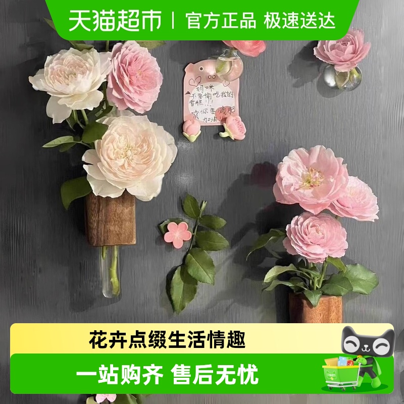 过凡创意磁吸固定磁力贴冰箱贴