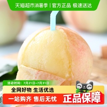 无锡阳山水蜜桃毛桃正品甜脆软桃爆汁好剥皮现摘新鲜水果鲜甜